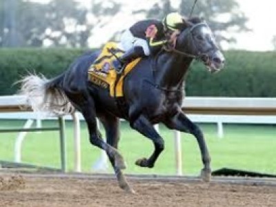 Knicks Go Seeks to Regain Gr.1 Glory in Dirt Mile Image 1